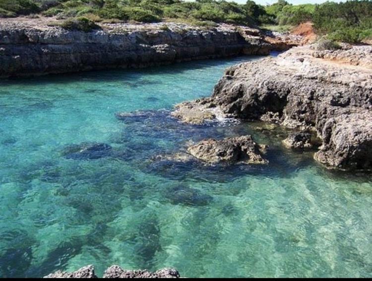 Villa Giovanna Villanova di Ostuni Zewnętrze zdjęcie